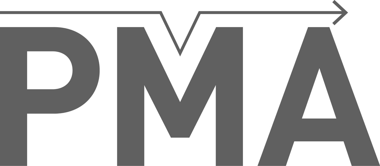 PMA Silver Spray Paint 500ml