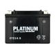 PLATINUM Motorcycle MF AGM Battery 12V - 11Ah - 170CCA